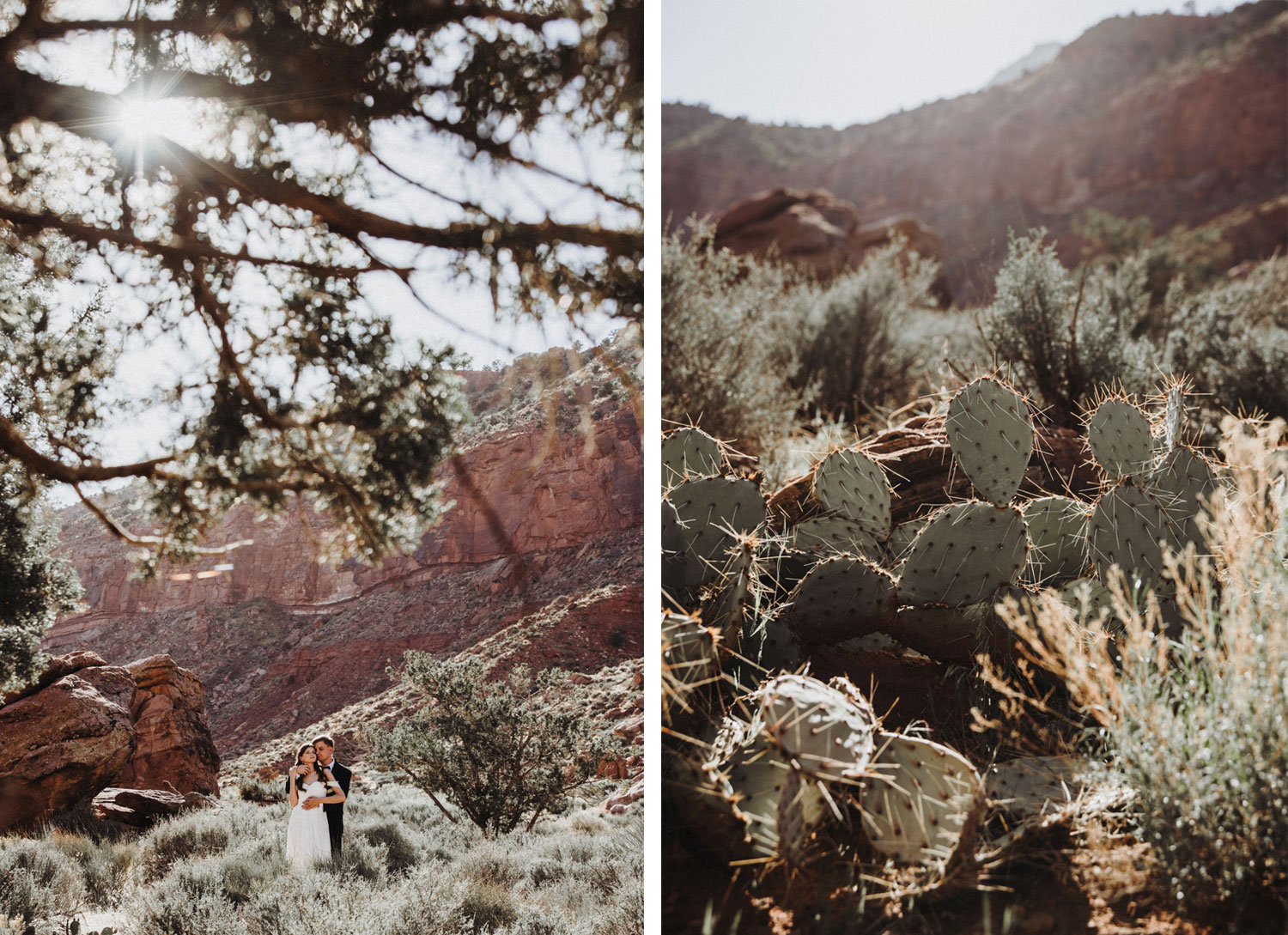 After Wedding Zion Park USA 3