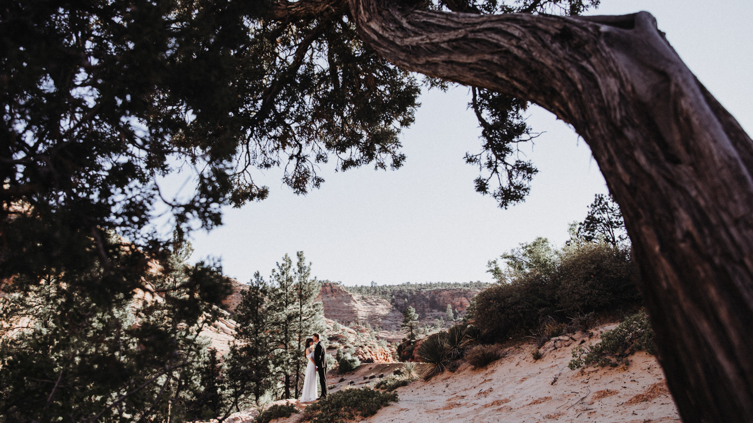 After Wedding Zion Park USA 10