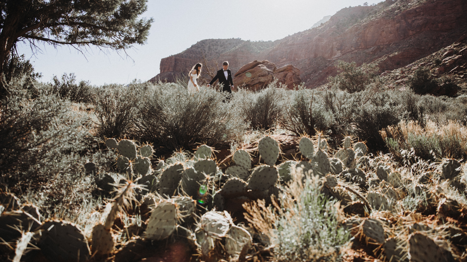 After Wedding Zion Park USA 4