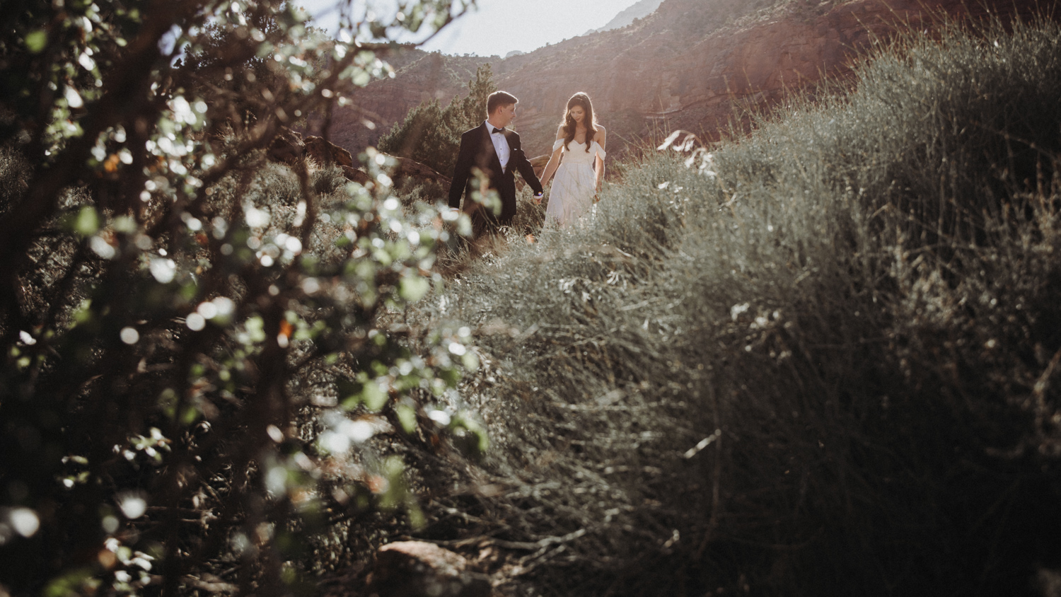 After Wedding Zion Park USA 7